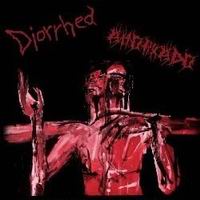 Ahorkado/Diorrhea - Split CD