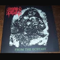 Brain Dead - From the Ecstacy (LP 12" Die-Hard)