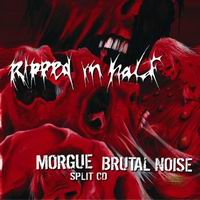 Brutal Noise/Morgue - Ripped in Half