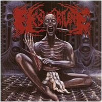 Flesh Torture - The Stench of Humanity