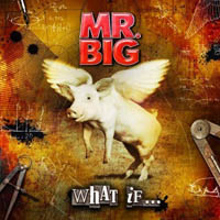Mr. Big - What If... (CD+DVD)