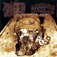 Rancid Flesh/Pankreatite Necro Hemorragica - Split CD