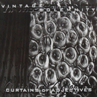 Vintage Solemnity - Curtains of Adjectives