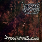 Abysmal Torment - Incised Wound Suicide