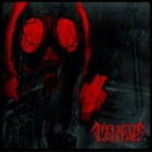 Afflictis Lentae - From Nothing... To Nothing