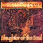 At the Gates - Slaughter of the Soul (LP 12" Red/Clear Split)