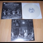 Axewielder - The Nightcrew (LP 12" Clear)