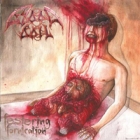 Bloodboil - Festering Fornication