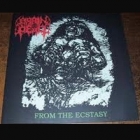 Brain Dead - From the Ecstacy (LP 12" Die-Hard)