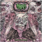 Broken Hope - Omen of Disease (LP 12" + CD)