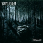 Burzum - Hlidskjalf (LP 12" Colored)