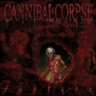 Cannibal Corpse - Torture (LP 12" Red Splattered)