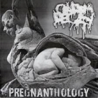 Condom Decay - Pregnanthology
