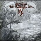 Destroyer 666 - Cold Steel...For An Iron Age (LP 12"  Picture Disc)