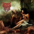 Insidious Torture - Lust and Decay