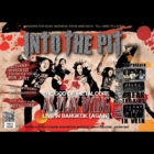 Into The Pit # 14 (Magazine)