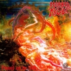 Morbid Angel - Blessed are the Sick (LP 12" Black)
