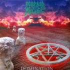 Morbid Angel - Domination (LP 12" Purple)