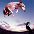 Paul Gilbert - Flying Dog (CD)