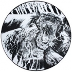 SSS - Problems to the Answer (LP 12" Picture Disc)