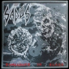 Sadus - Swallowed in Black (Patch: Grey Border)