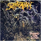 Suffocation - Pierced from Within (LP 12" Black)