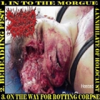 Swingingcorpse - On The Way For Rotting Corpse